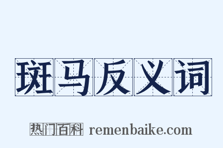 斑马反义词是什么意思的图片